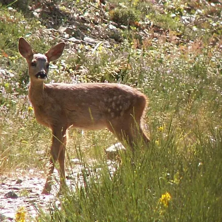 La Fuste Couette-café