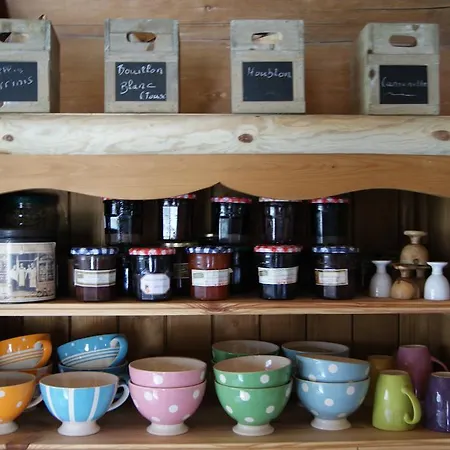 Couette-café La Fuste Brusque