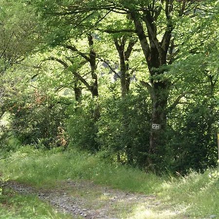 Couette-café La Fuste Brusque