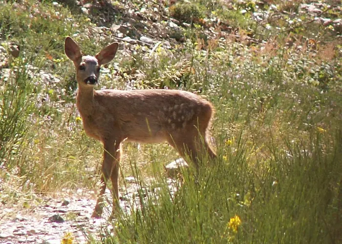 La Fuste Bed & Breakfast