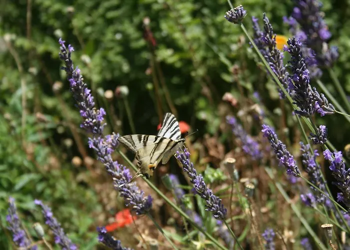 Bed & Breakfast La Fuste Brusque