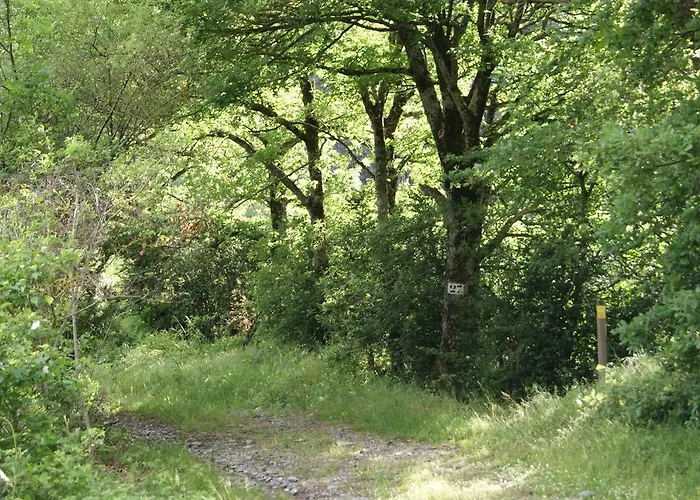 Bed & Breakfast La Fuste Brusque