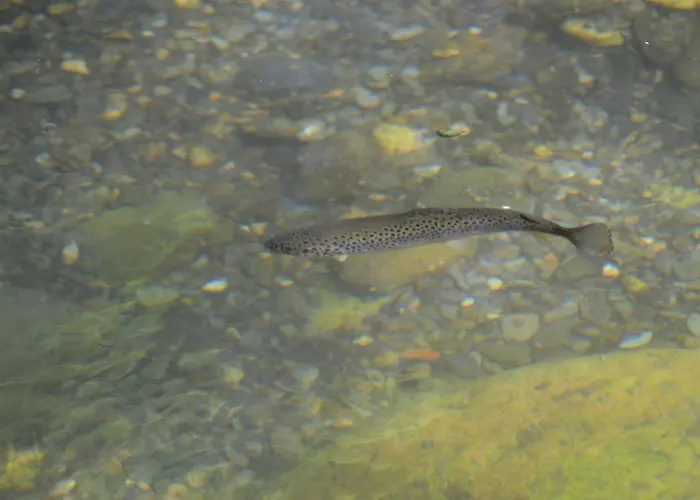 La Fuste Bed & Breakfast