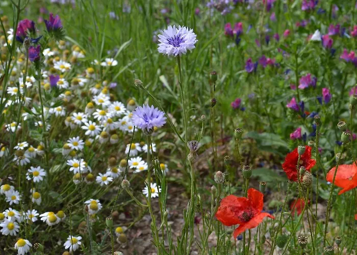 La Fuste Bed & Breakfast 3*